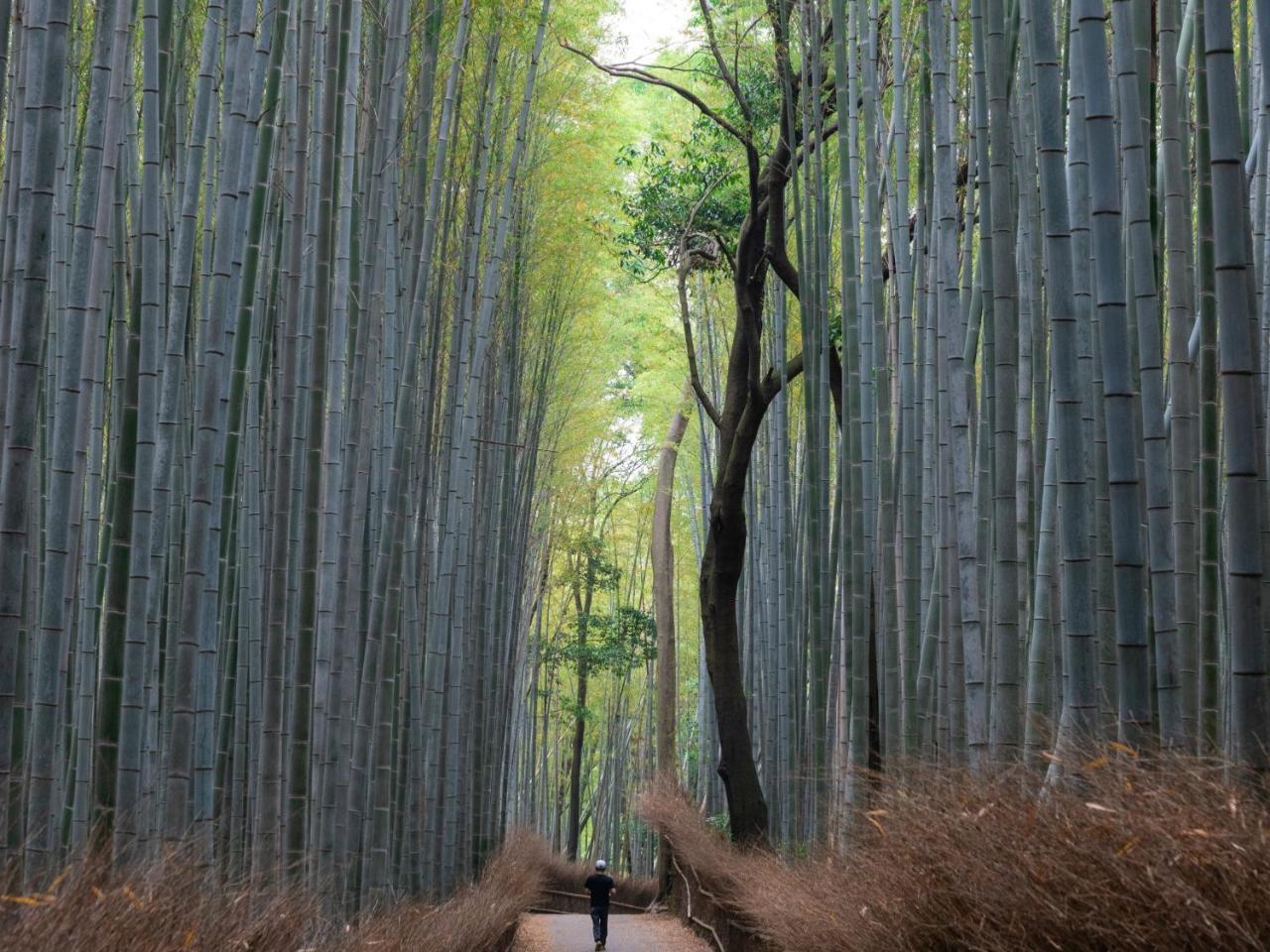 Stay Marutamachi Kyoto Exterior foto