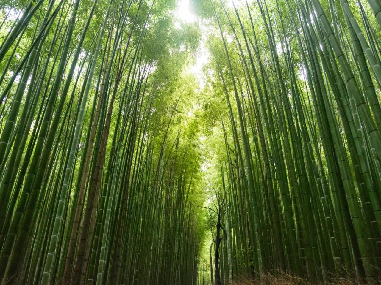 Stay Marutamachi Kyoto Exterior foto